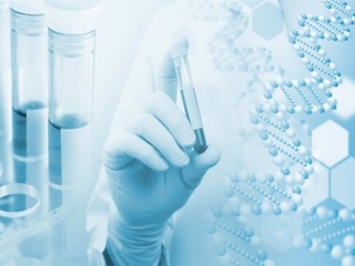 Telomere – Chìa khóa cho tuổi thọ và sức khỏe tế bào